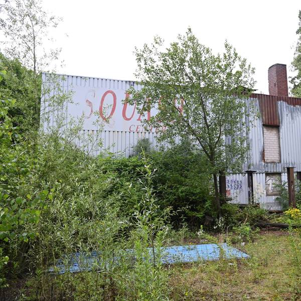 Die Sporthalle mitten im Gestrüpp