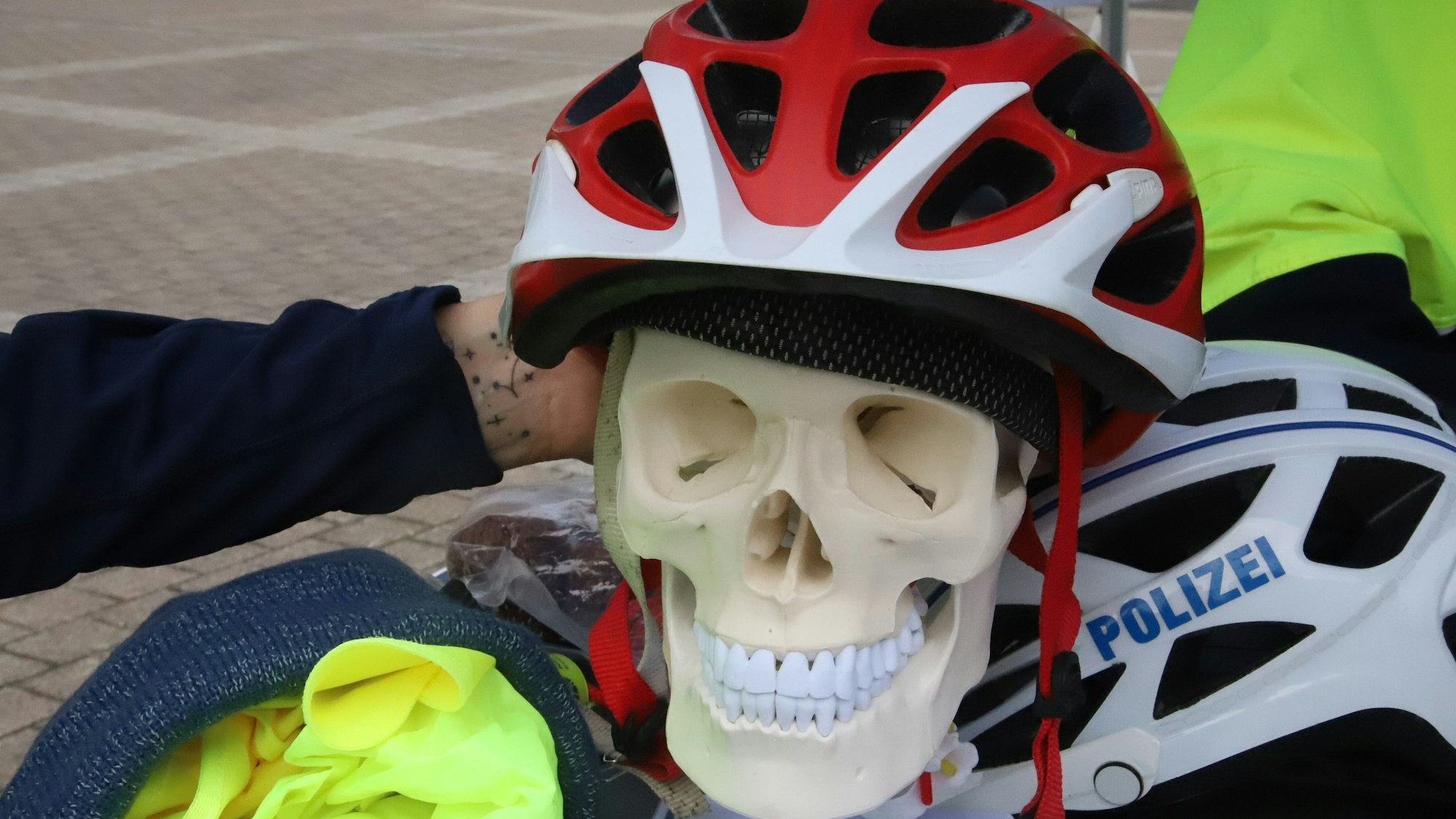 Auf einem Kunstschädel ist ein Fahrradhelm aufgesetzt.