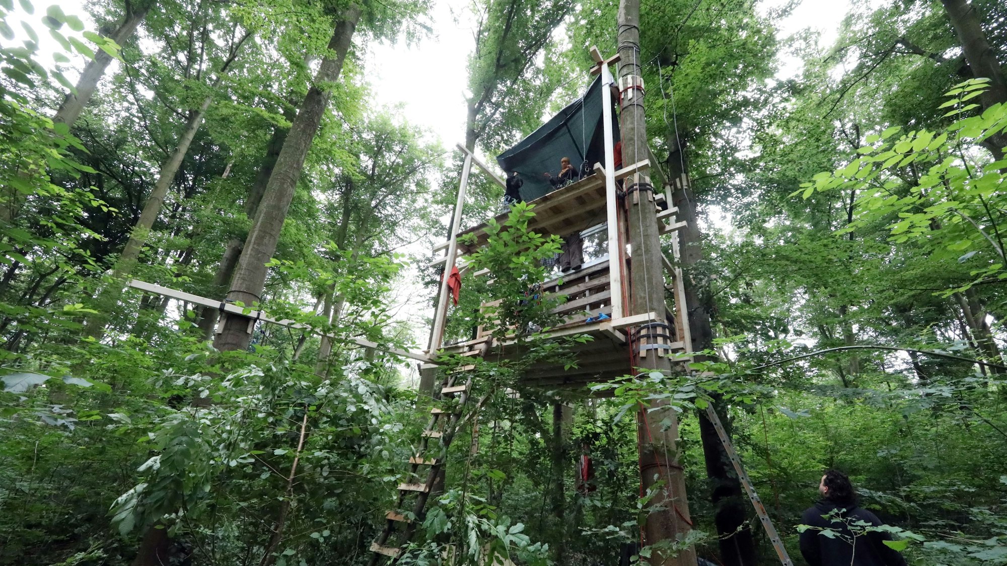 Ein Baumhaus im Gremberger Wäldchen