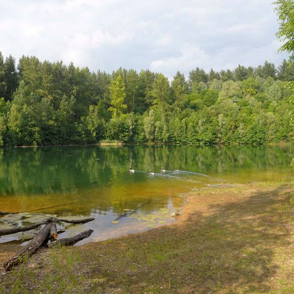 Grube Cox, Naturschutzgebiet.