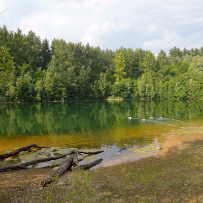 Grube Cox, Naturschutzgebiet.