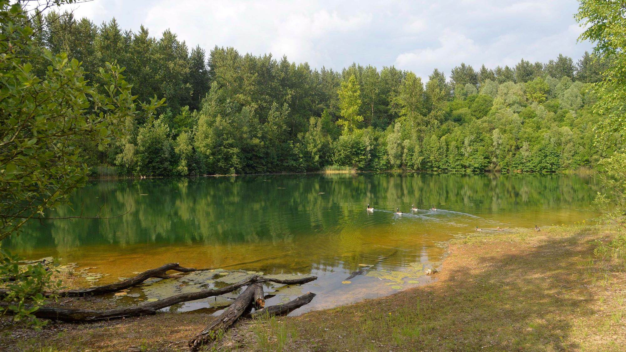 Grube Cox, Naturschutzgebiet.