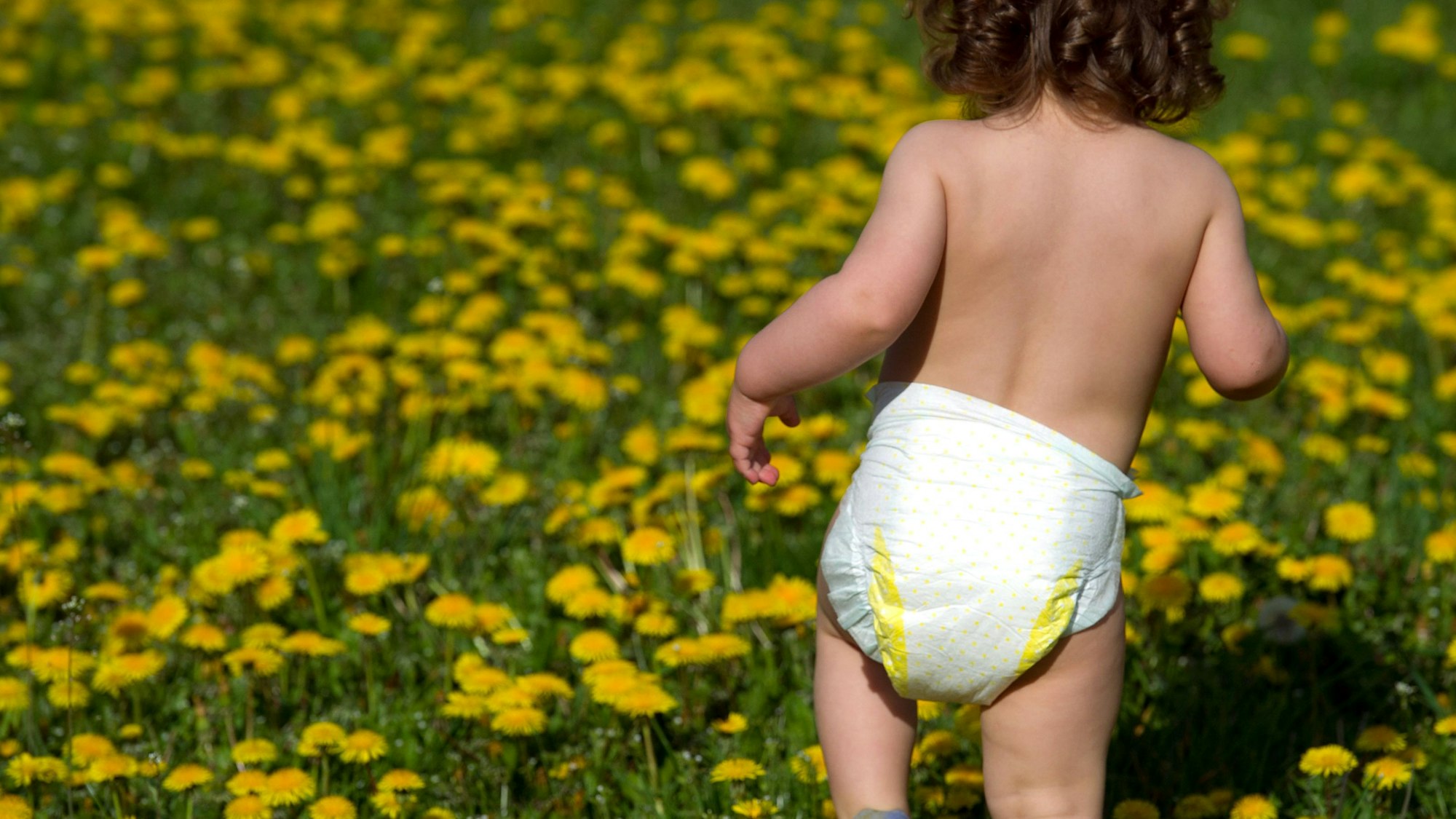 Die Entsorgung der Windeln ist in Lindlar kein Thema mehr, die 2023 vom Rat beschlossene Lösung mit Chips für Windelsäcke wird kaum nachgefragt.