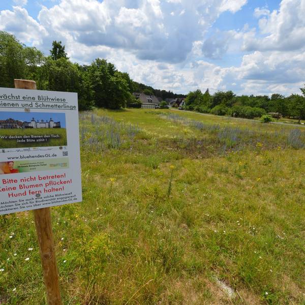 Eine blühende Wiese mit einem Schild: „Blühwiese“