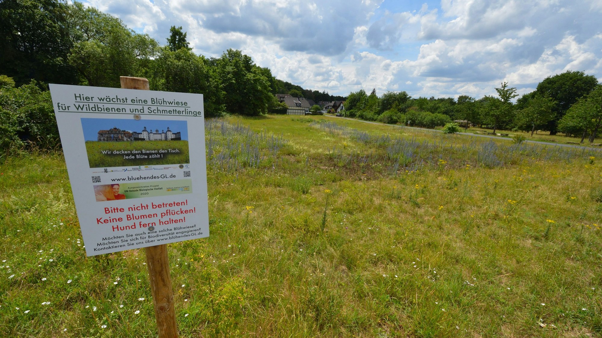Eine blühende Wiese mit einem Schild: „Blühwiese“