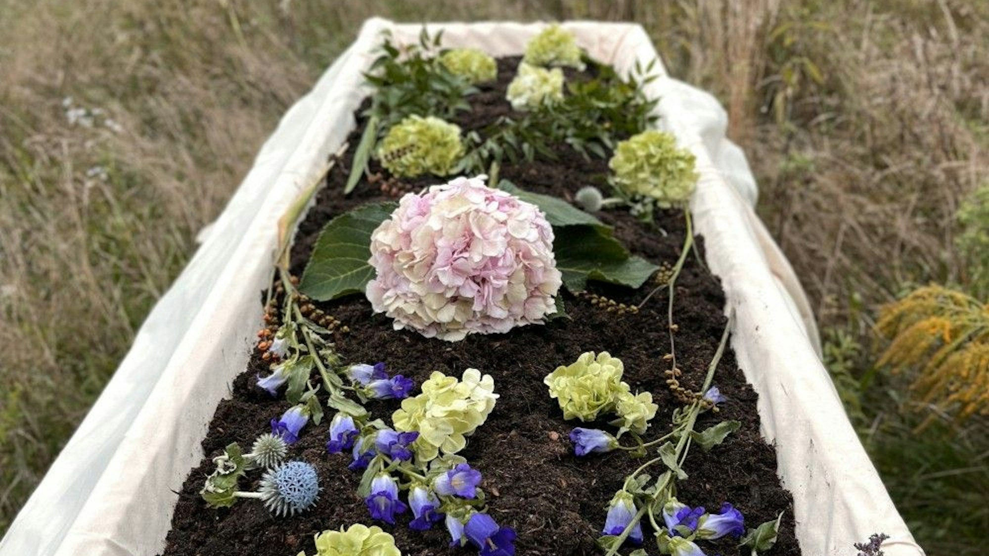 Reerdigung - ein Start-up aus Berlin will in NRW mit einem neuen Beerdigungskonzept Fuß fassen. Zu sehen ist ein offener Sarg mit dunkler Erde gefüllt, auf der Blumen liegen.