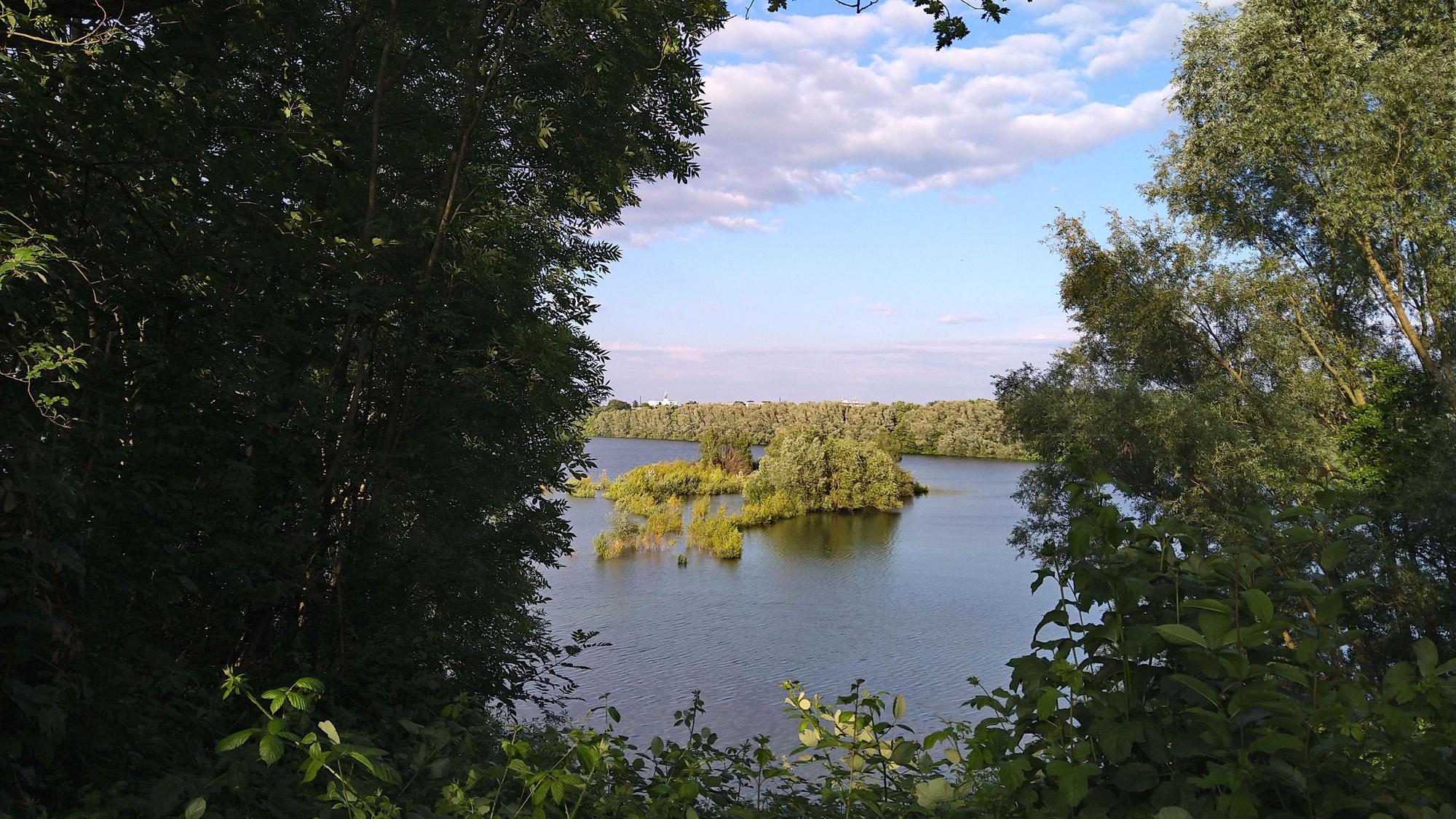 Zuweilen gibt der dichte Uferbewuchs den Blick auf den Pescher See frei.