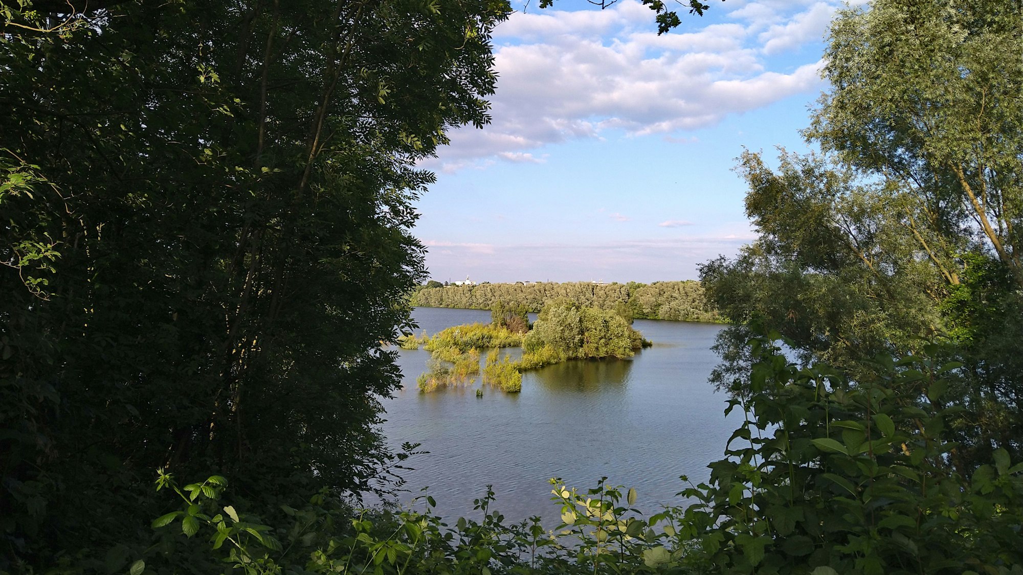 Zuweilen gibt der dichte Uferbewuchs den Blick auf den Pescher See frei.