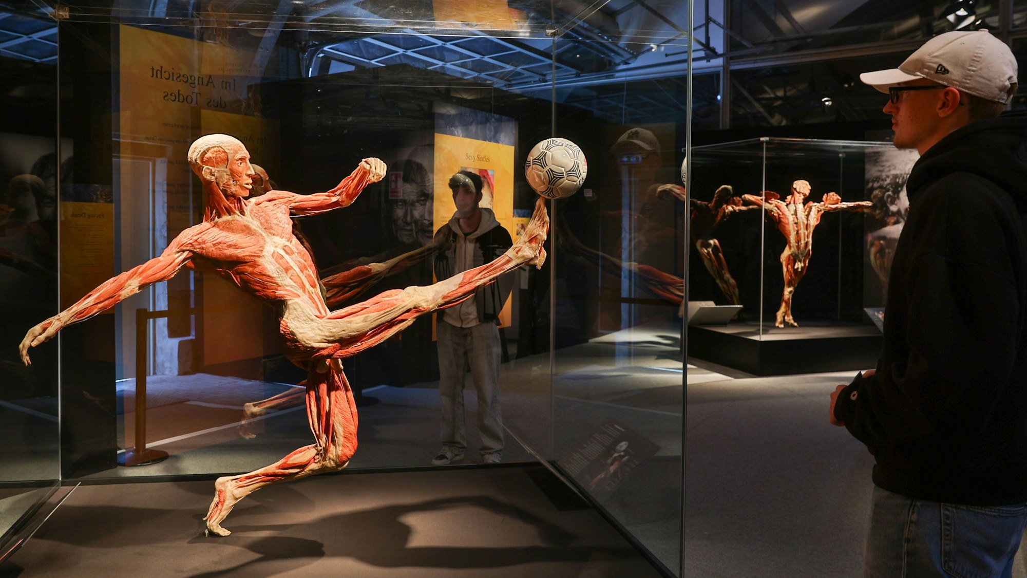 Zu sehen ist ein plastinierter Körper mit einem Fußball hinter einer Glasvitrine. Davor steht ein Mann.