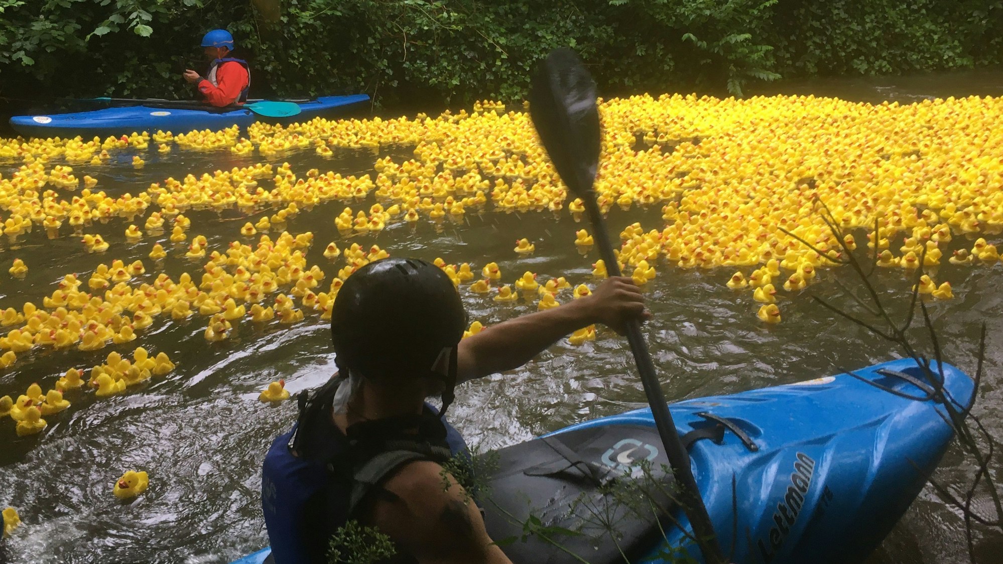 Zwei Kanufahrer in ihren Booten auf dem Wasser, dazwischen eine gelbe Menge von Plastikenten.