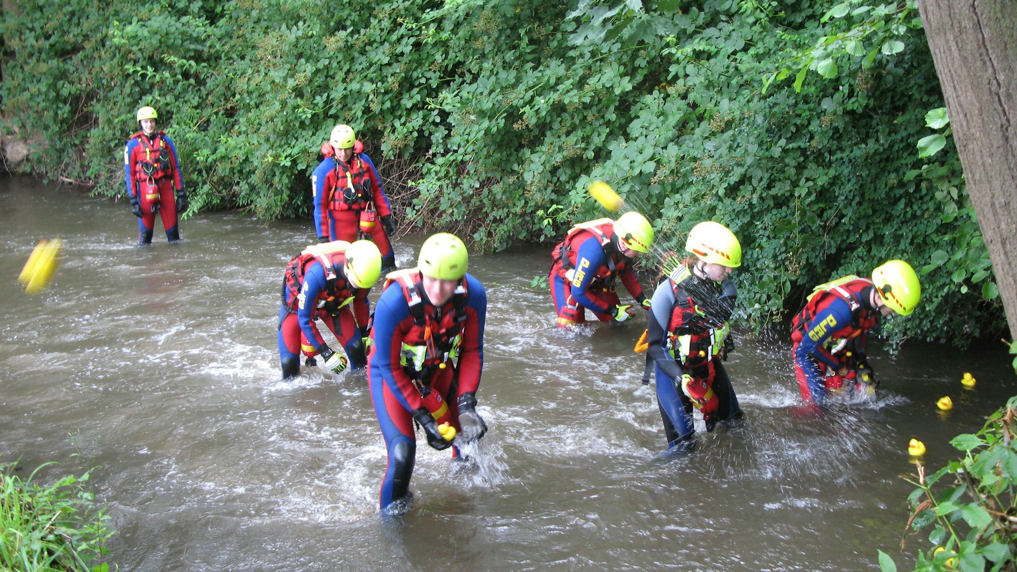 Sieben Helfer in blau-roten Neoprenanzügen und gelben Helmen stehen kniehoch im Wasser und holen die ankommenden Rennenten aus dem Wasser.