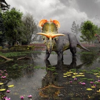 Der Dinosaurier mit seinen auffälligen Hörnern soll vor 78 Millionen Jahren durch Nordamerika gestreift sein.