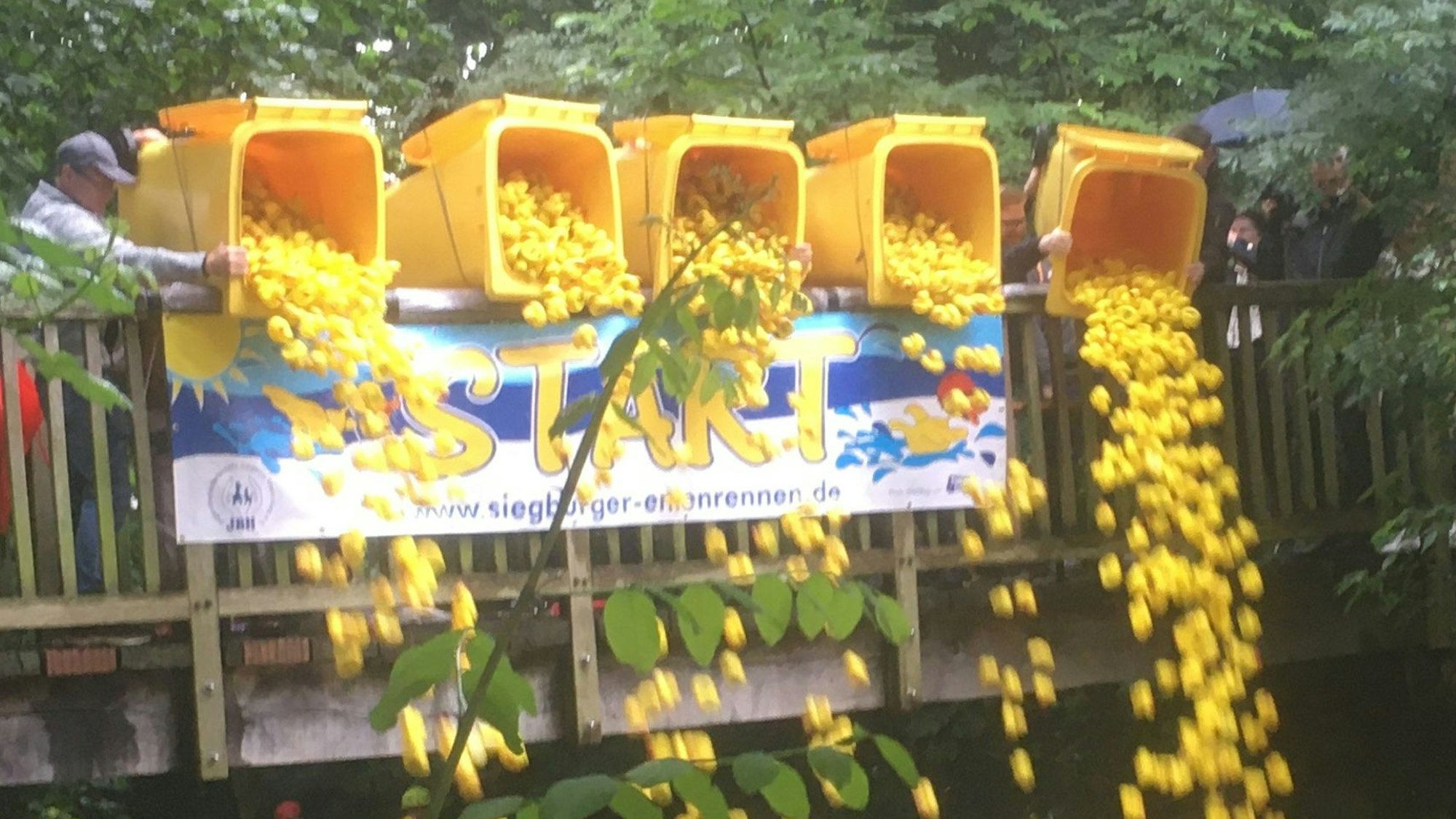 Über ein Brückengeländer werden 3000 gelbe Plastikenten aus fünf gelben Tonnen ins Wasser gekippt.
