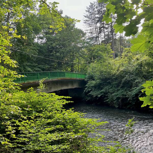 Eine baufällige Brücke überspannt einen Fluss.