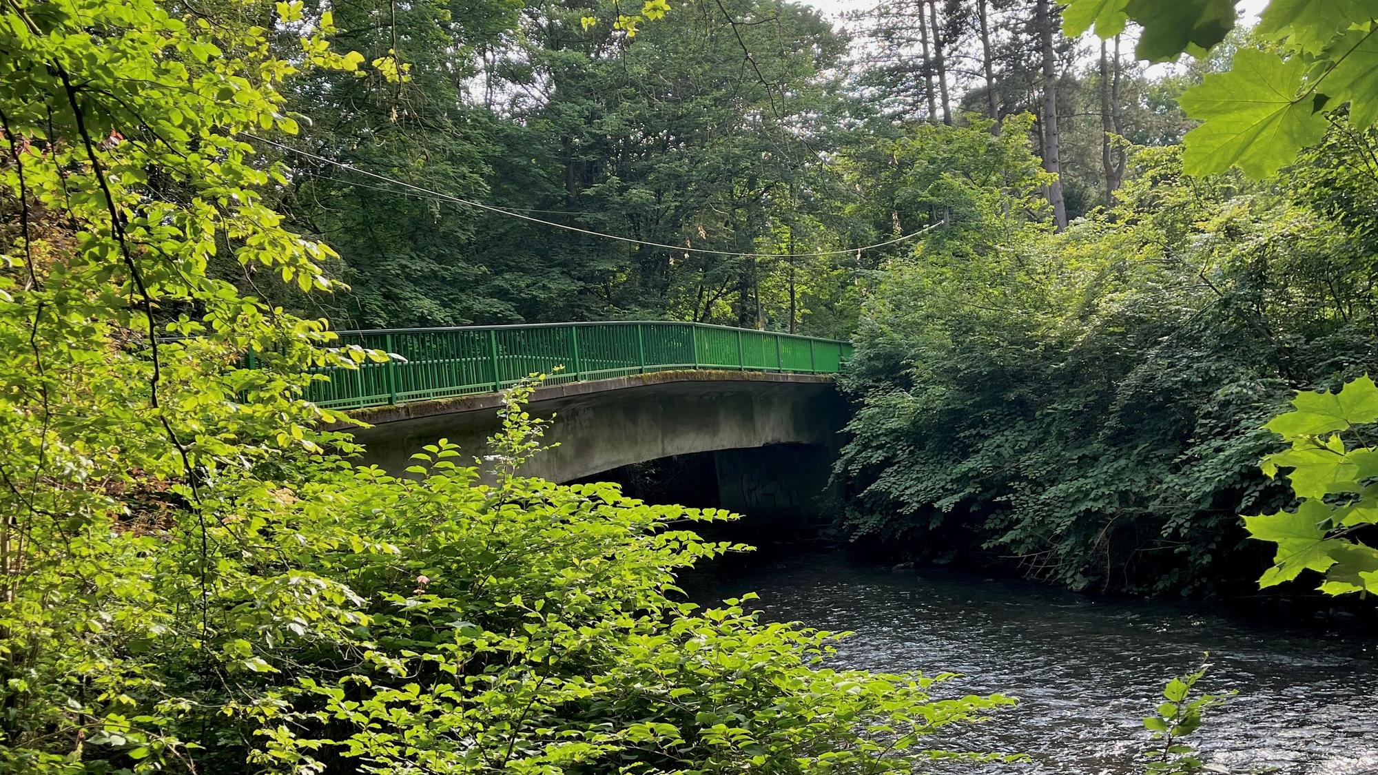 Eine Brücke über die Dhünn