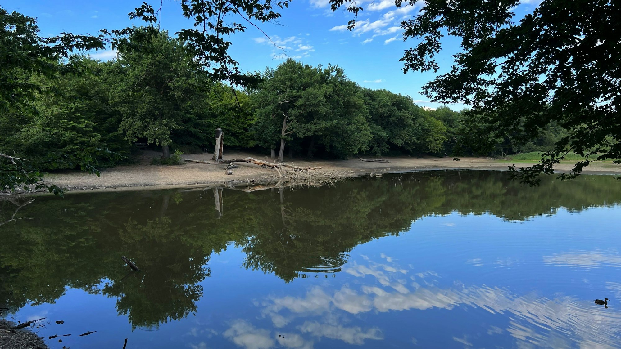 Scheuermühlenteich in Porz