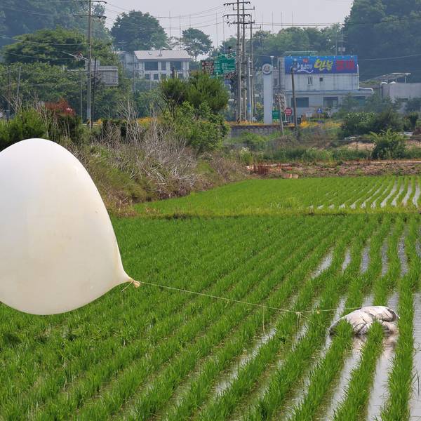 Einer der Hunderten von mit Müll gefüllten Ballons, die Nordkorea über Nacht fliegen ließ, liegt in einem Reisfeld im nordwestlichen Grenzbezirk Südkoreas. (Archivbild)