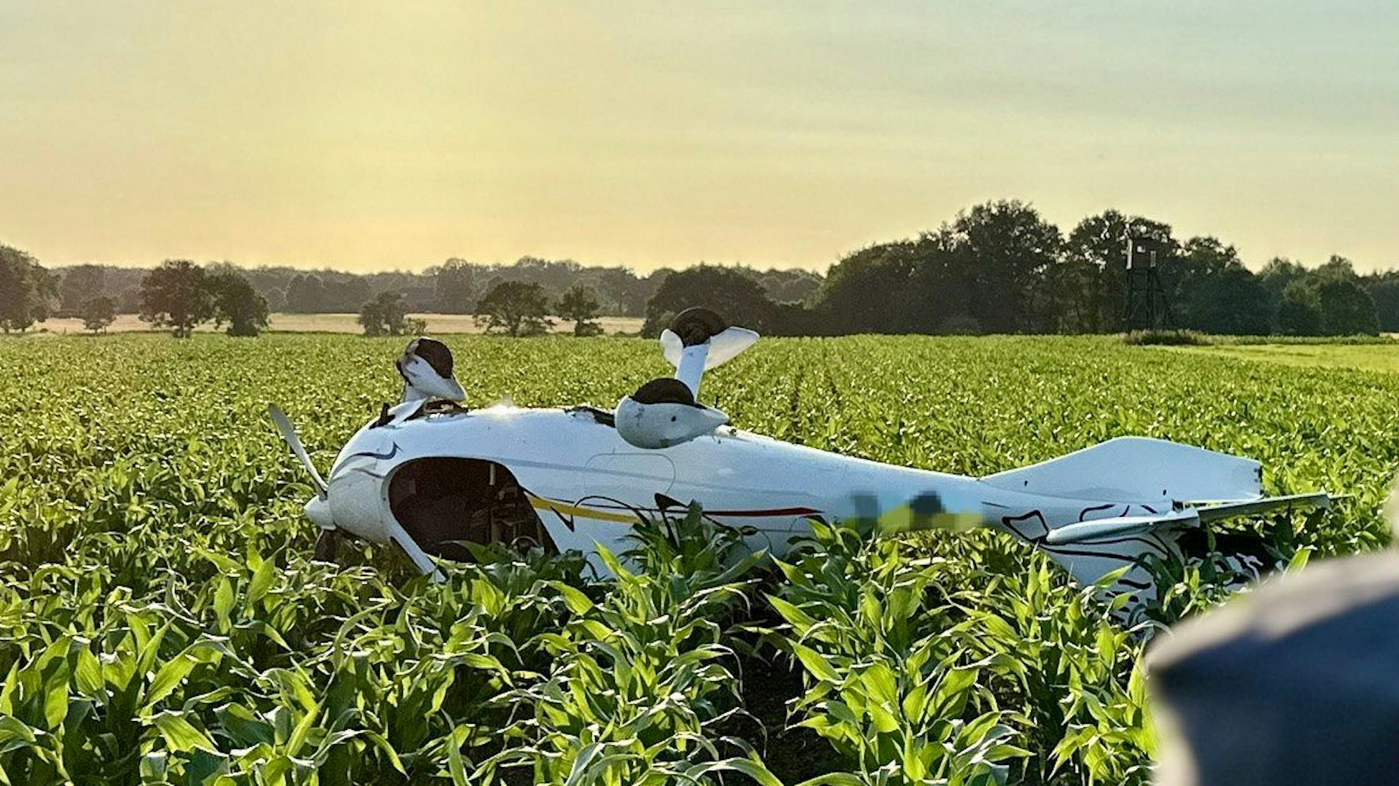 Ein verunglücktes Ultraleichtflugzeug liegt in einem Maisfeld im nordrhein-westfälischen Hünxe. Die beiden Insassen des Flugzeugs wurden bei der missglückten Notlandung verletzt.