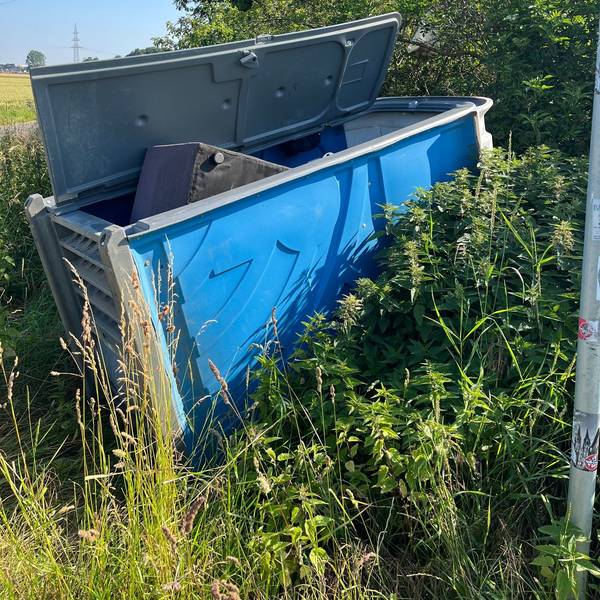 Ein blaues Toilettenhäuschen liegt in einem Gebüsch voller Brennnesseln, aus der Tür ragt ein Sofa hervor.