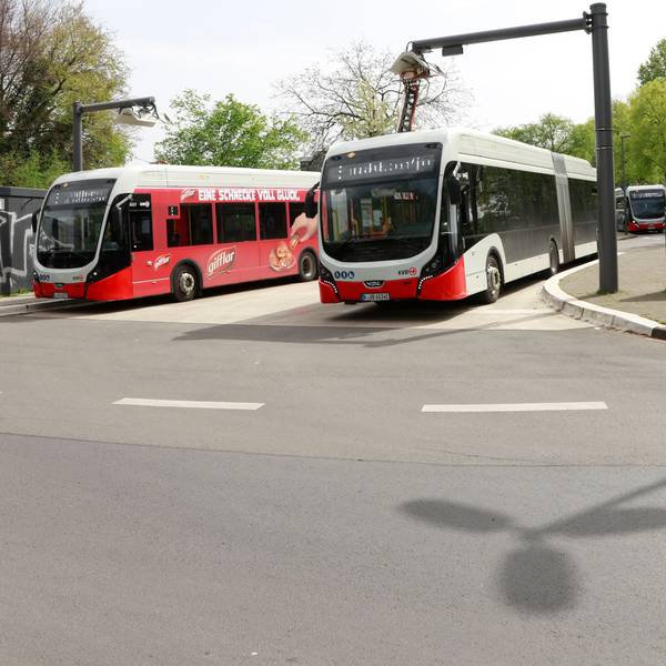 Zu sehen sind drei Gelenkbusse der KVB in der Vorderansicht.