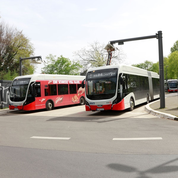 Zu sehen sind drei Gelenkbusse der KVB in der Vorderansicht.