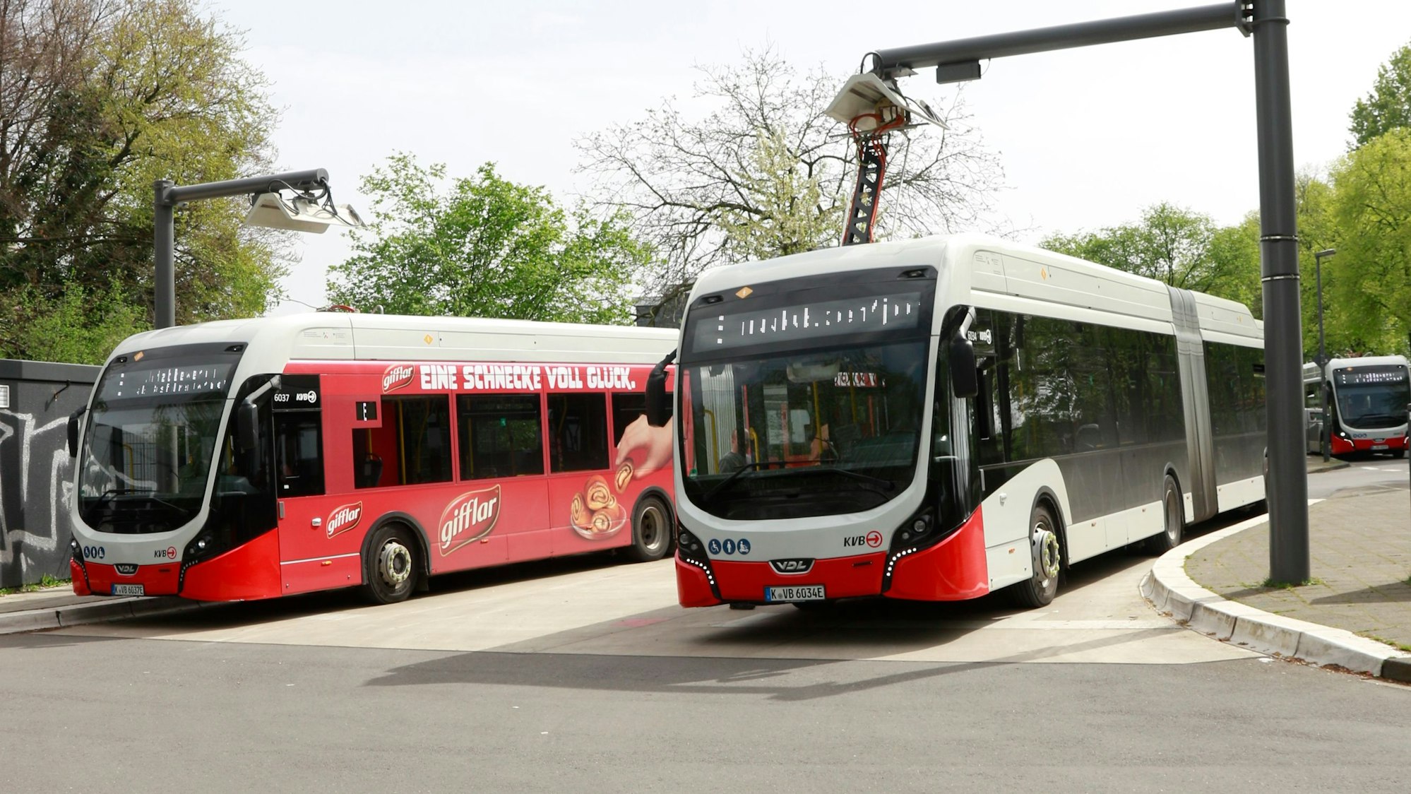 Zu sehen sind drei Gelenkbusse der KVB in der Vorderansicht.