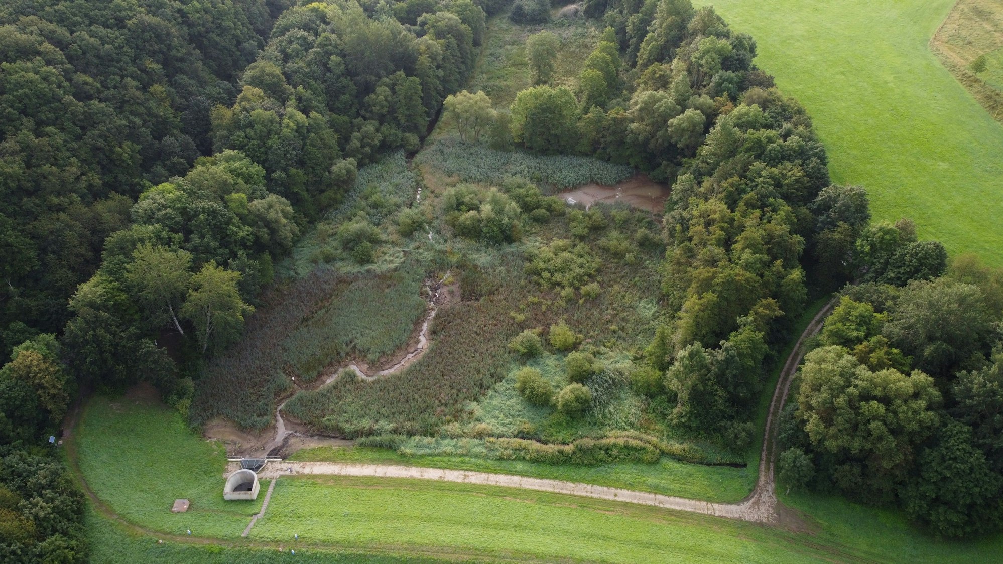 Das Hochwasserrückhaltebecken Obereiper Mühle in Eitorf ist wegen seiner Größe als Talsperre eingestuft.