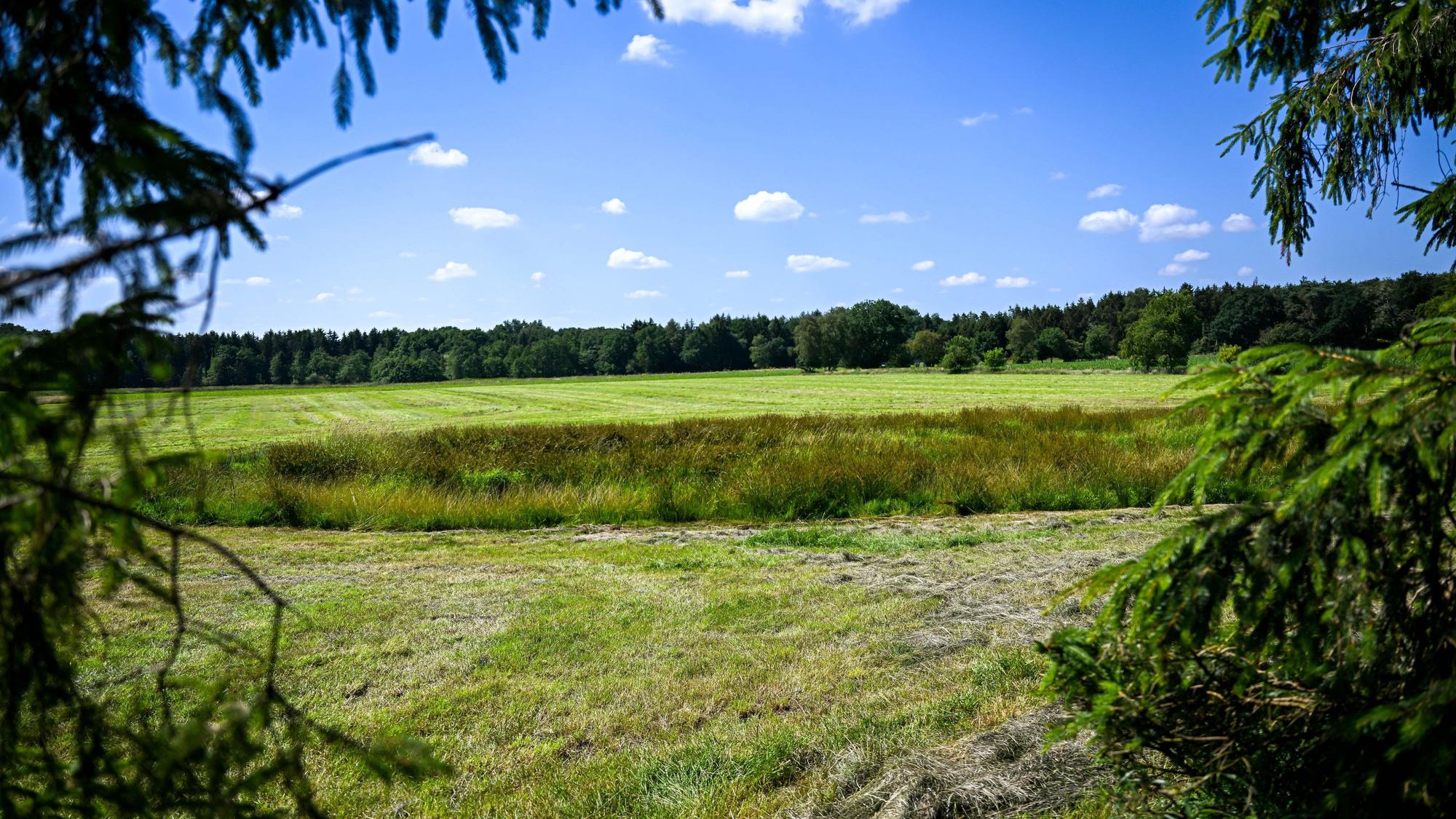 https://www.kreiszeitung.de/lokales/rotenburg/rotenburg-ort120515/landwirt-findet-leiche-auf-wiese-es-ist-vermutlich-arian-93150748.html