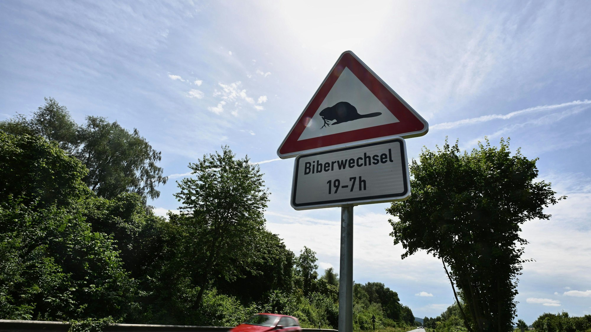 Ein Warnschild weist an der Bundesstraße 64 auf Biberwechsel hin. Die Biberpopulation in Nordrhein-Westfalen wächst.