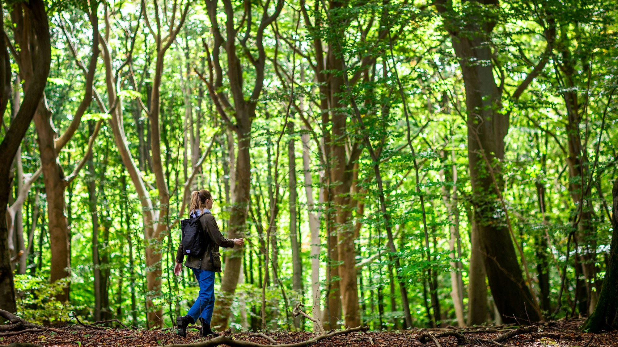 Eine Frau wandert durch einen Wald.