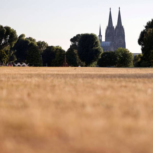 Die Sommertage in Köln werden häufiger und heißer (Symbolbild).