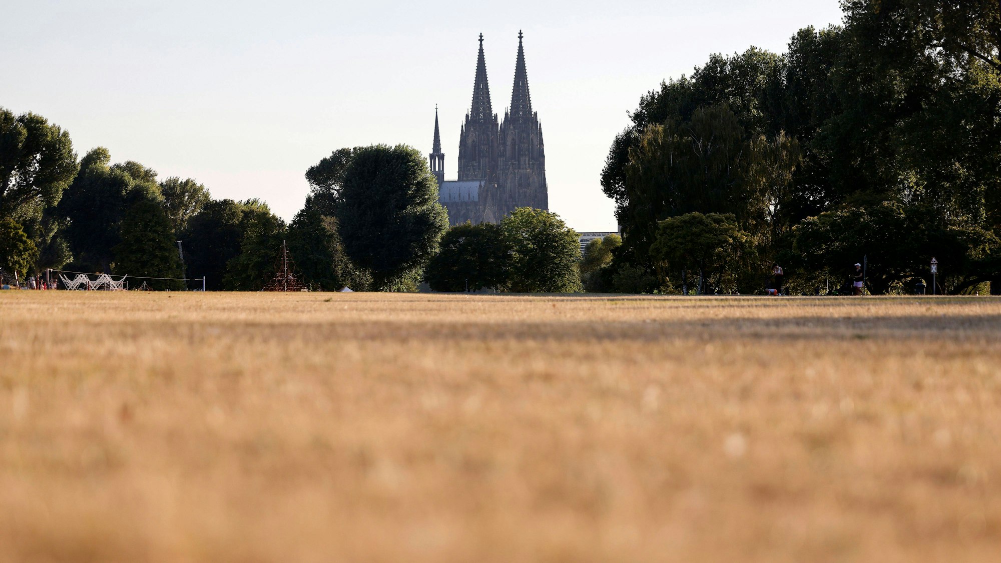 Hitze steht NRW in den kommenden Tagen bevor. Landwirte in der Region hoffen auf Regen durch Gewitter.