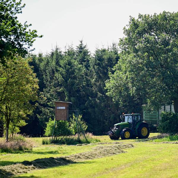 Ein Landwirt fährt mit Traktor über eine Wiese nahe des Fundortes einer Kinderleiche. Über zwei Monate nach dem Verschwinden des sechsjährigen Arian hat ein Landwirt im Norden Niedersachsens bei Mäharbeiten die Kinderleiche gefunden.