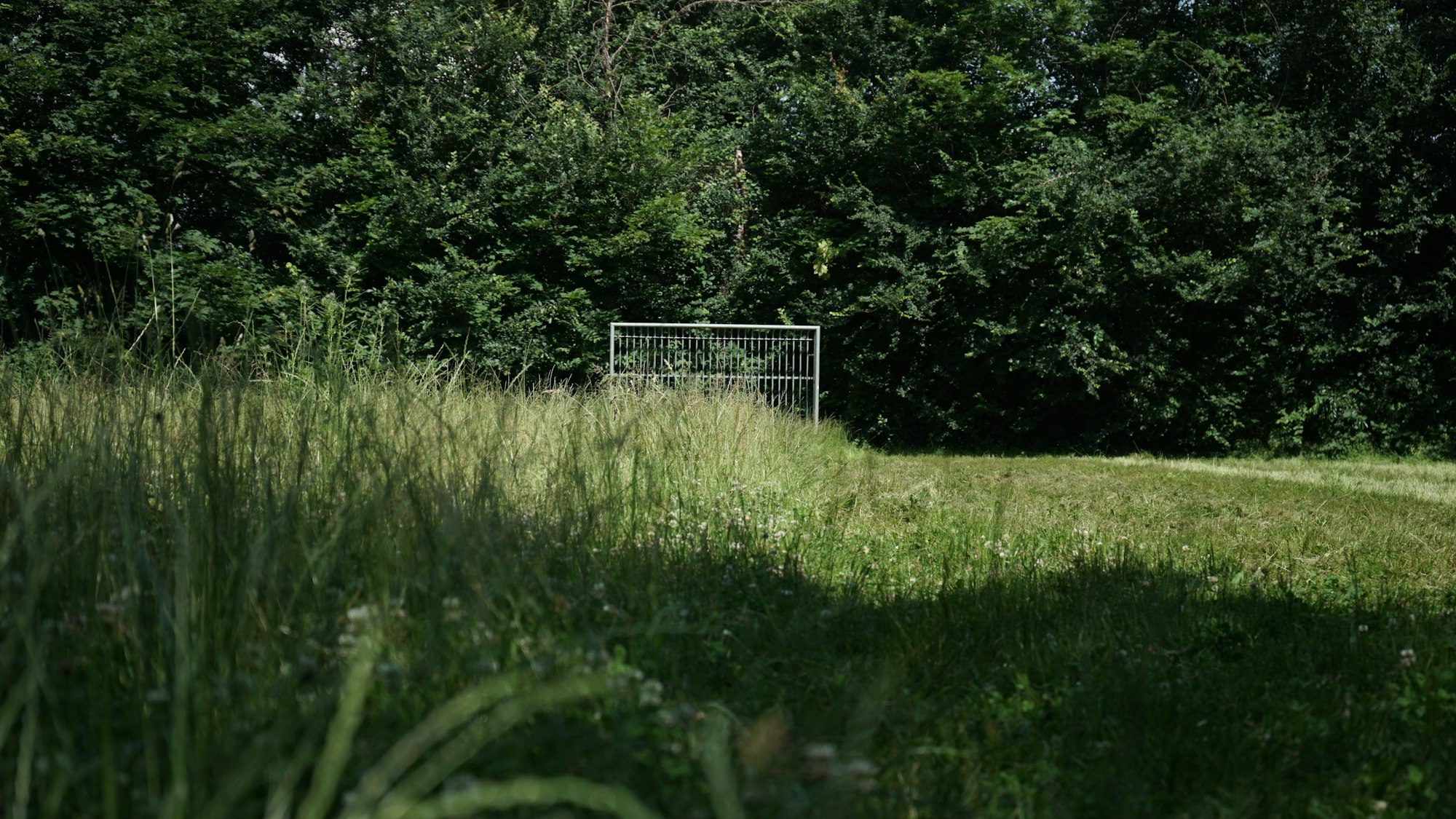 Ein halb gemähter Bolzplatz.