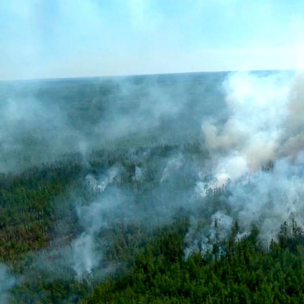 Rauchwolken steigen aus einem Wald auf. In der Arktis ist mit 38 Grad im vergangenen Jahr ein Temperaturrekord gemessen worden.