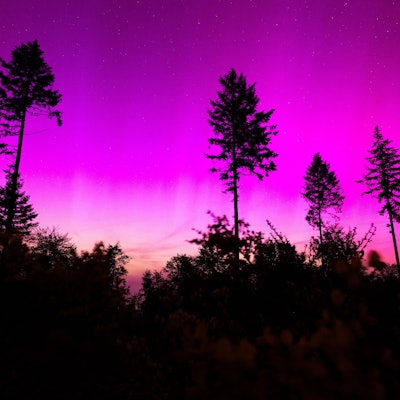Polarlichter erscheinen am nächtlichen Himmel (Symbolbild)
