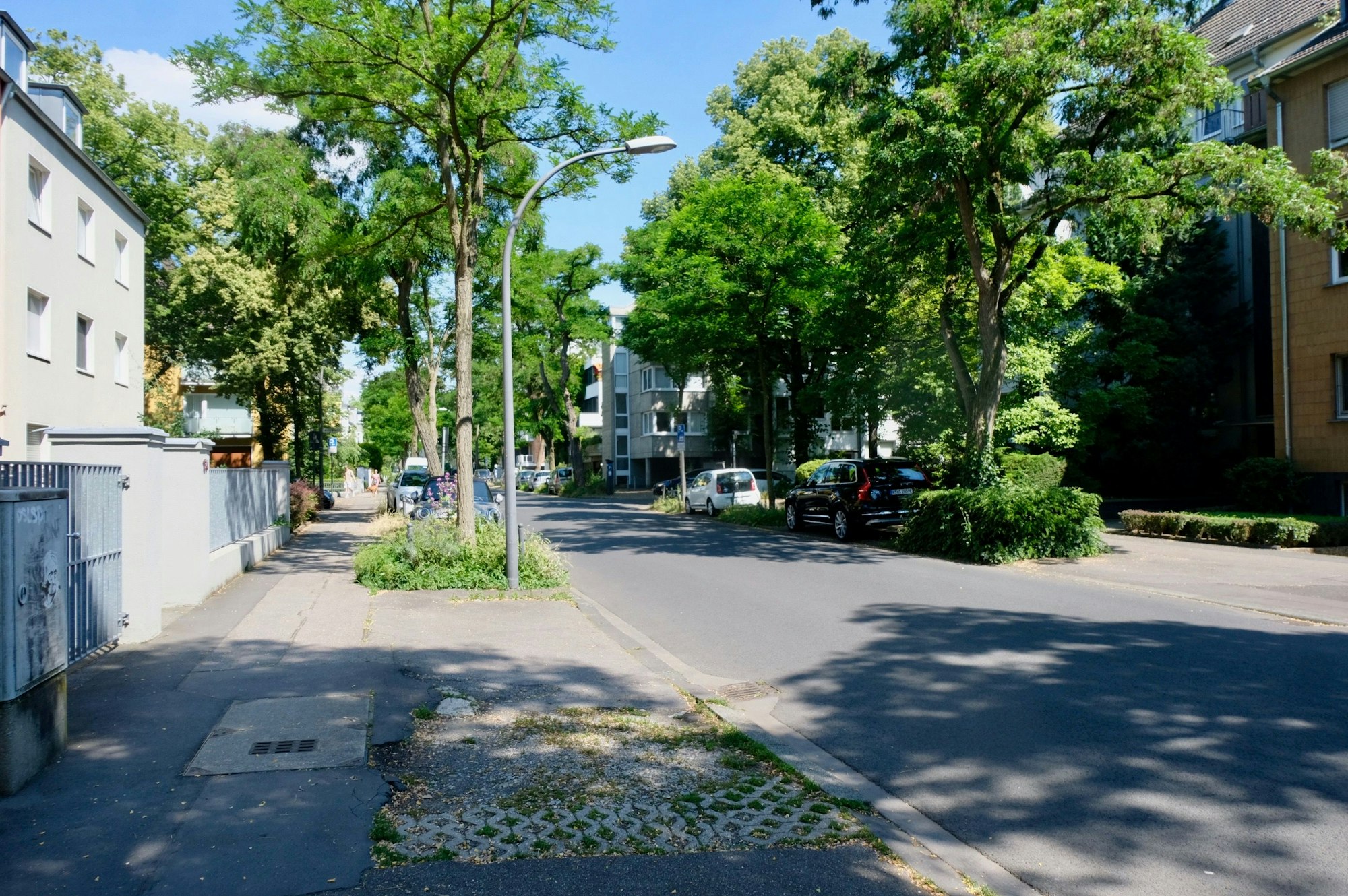 Auch vor den Häusern an der Wüllnerstraße 124 und 126 fehlt schon lange ein großer Straßenbaum.