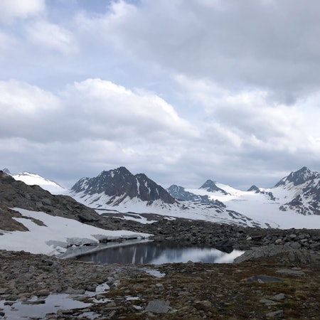 Der Gurgler Ferner in den Ötztaler Alpen in Österreich.