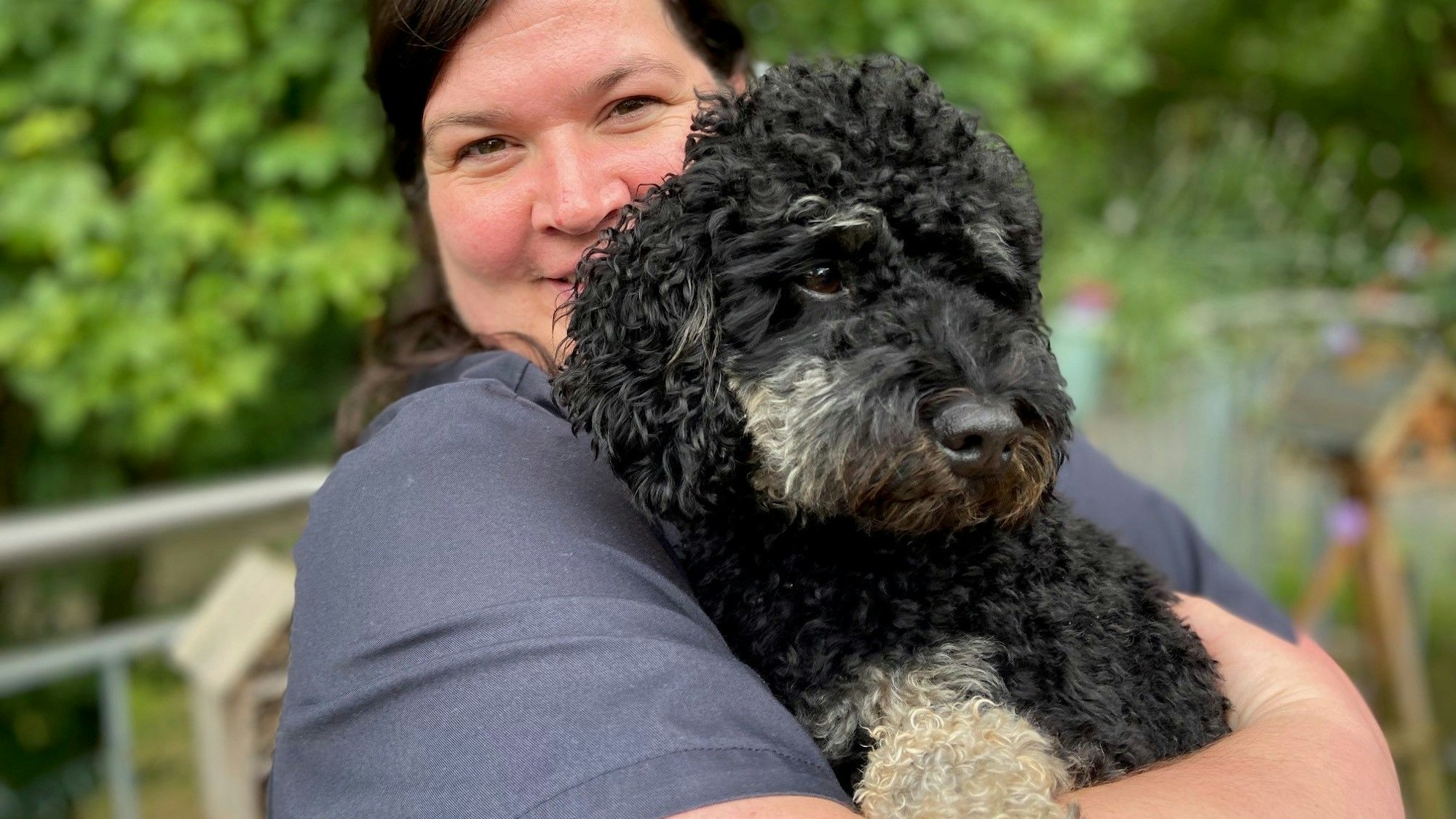 Auf dem Bild ist der Zwergpudel mit seiner Besitzerin zu sehen.