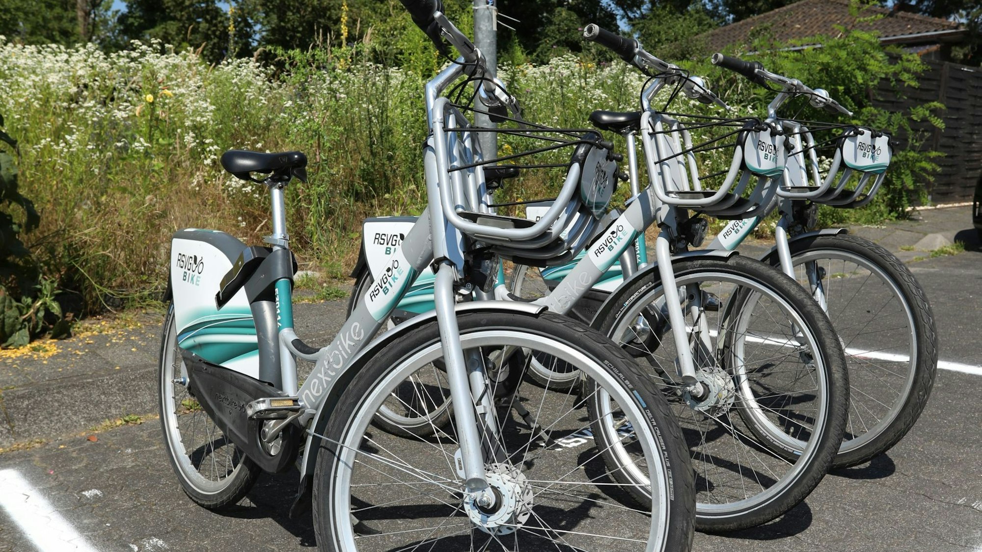 Drei Fahrräder stehen nebeneinander.