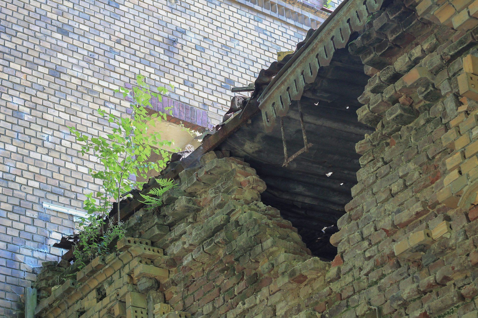 Die Mauern der Villa Fühlingen