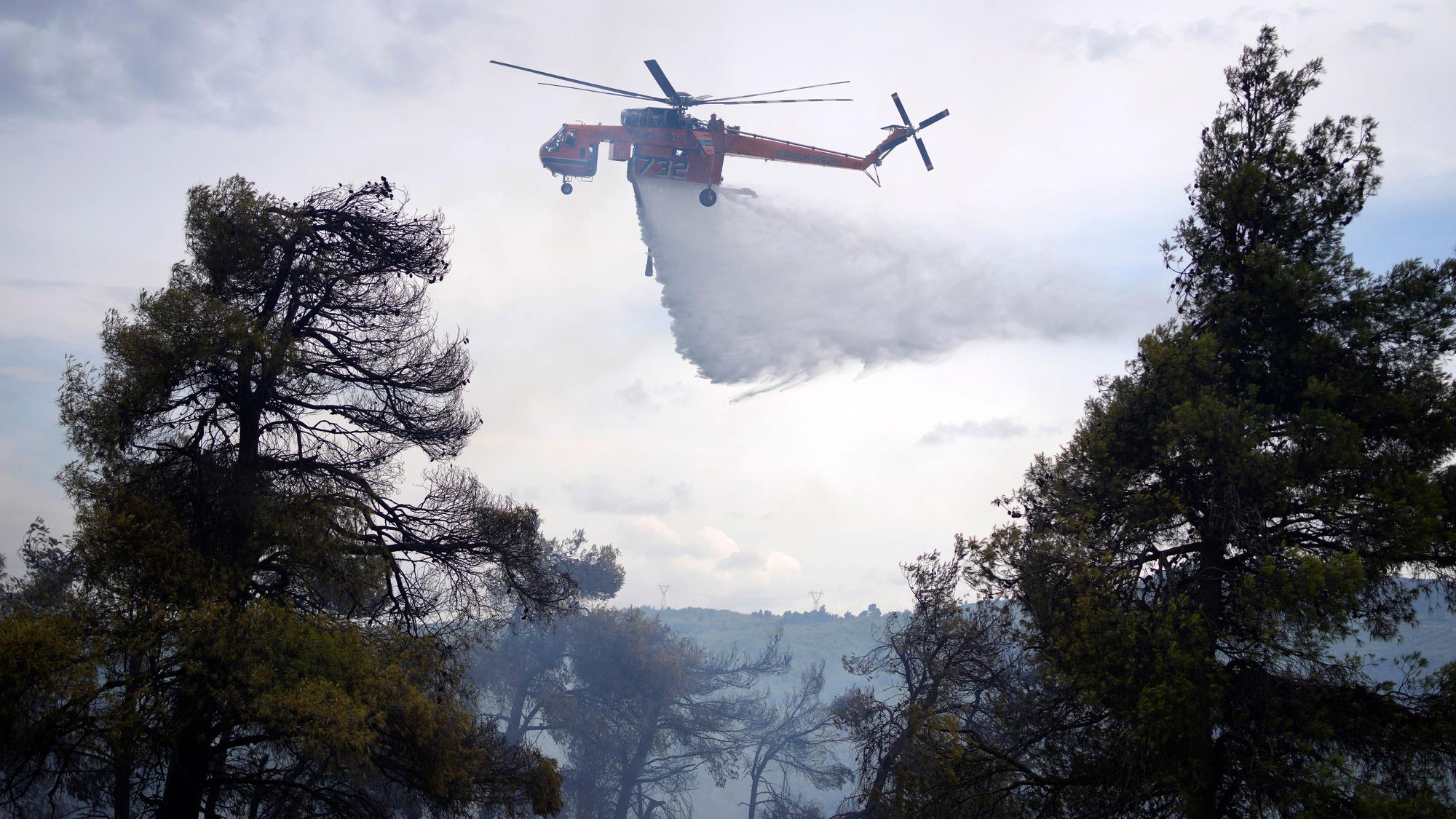 Ein Hubschrauber schüttet während eines Waldbrandes Wasser über ein Waldgebiet.