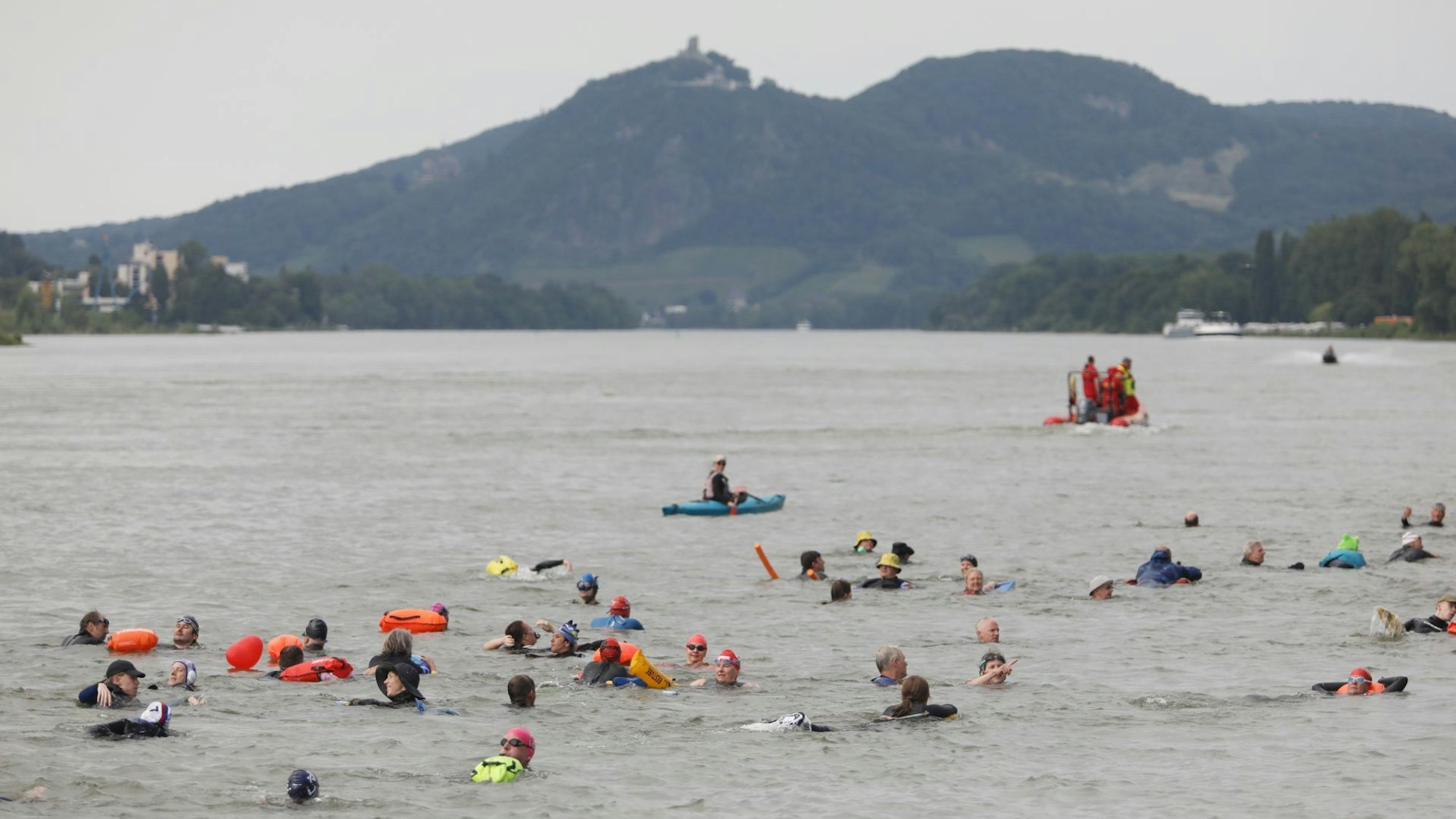 Viele Menschen im Fluss, im Hintergrund das Siebengebirge mit dem Drachenfels.