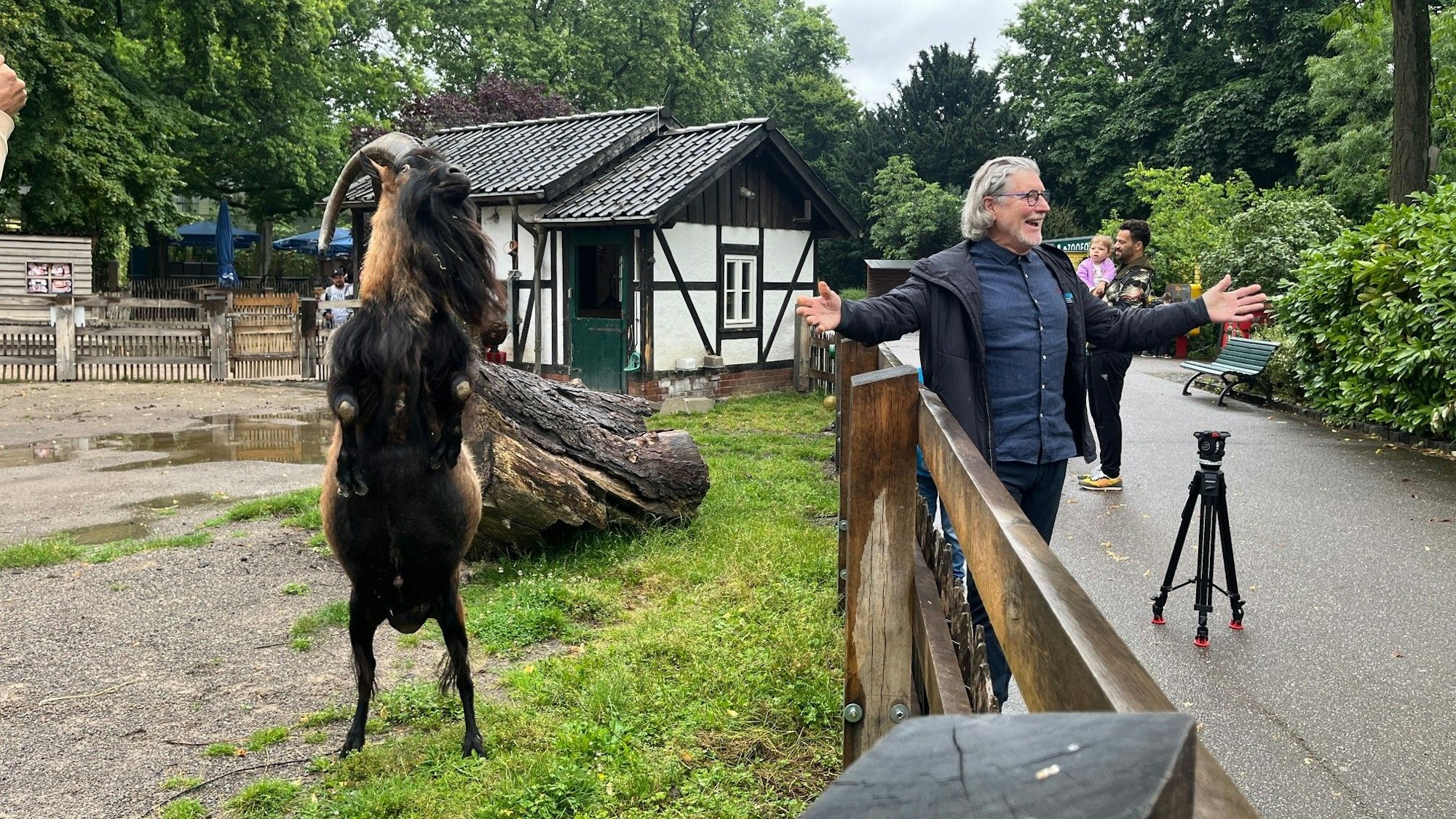 Geißbock Hennes steht auf den Hinterhufen, Toni Schumacher breitet erfreut die Arme aus.