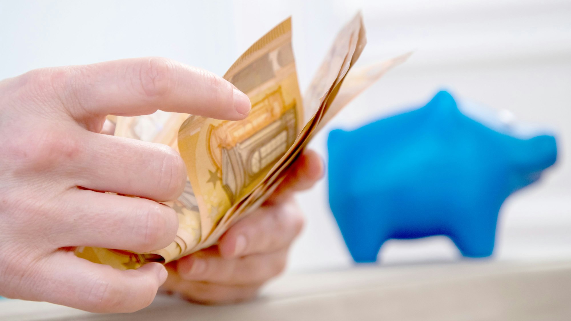Symbolfoto: Jemand zählt 50-Euro-Scheine ab, im Hintergrund steht ein blaues Sparschwein.