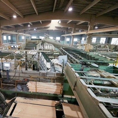 Das Foto zeigt die Sägestraße der Firma Hilo, die in einer der neuen Firmenhallen untergebracht ist.