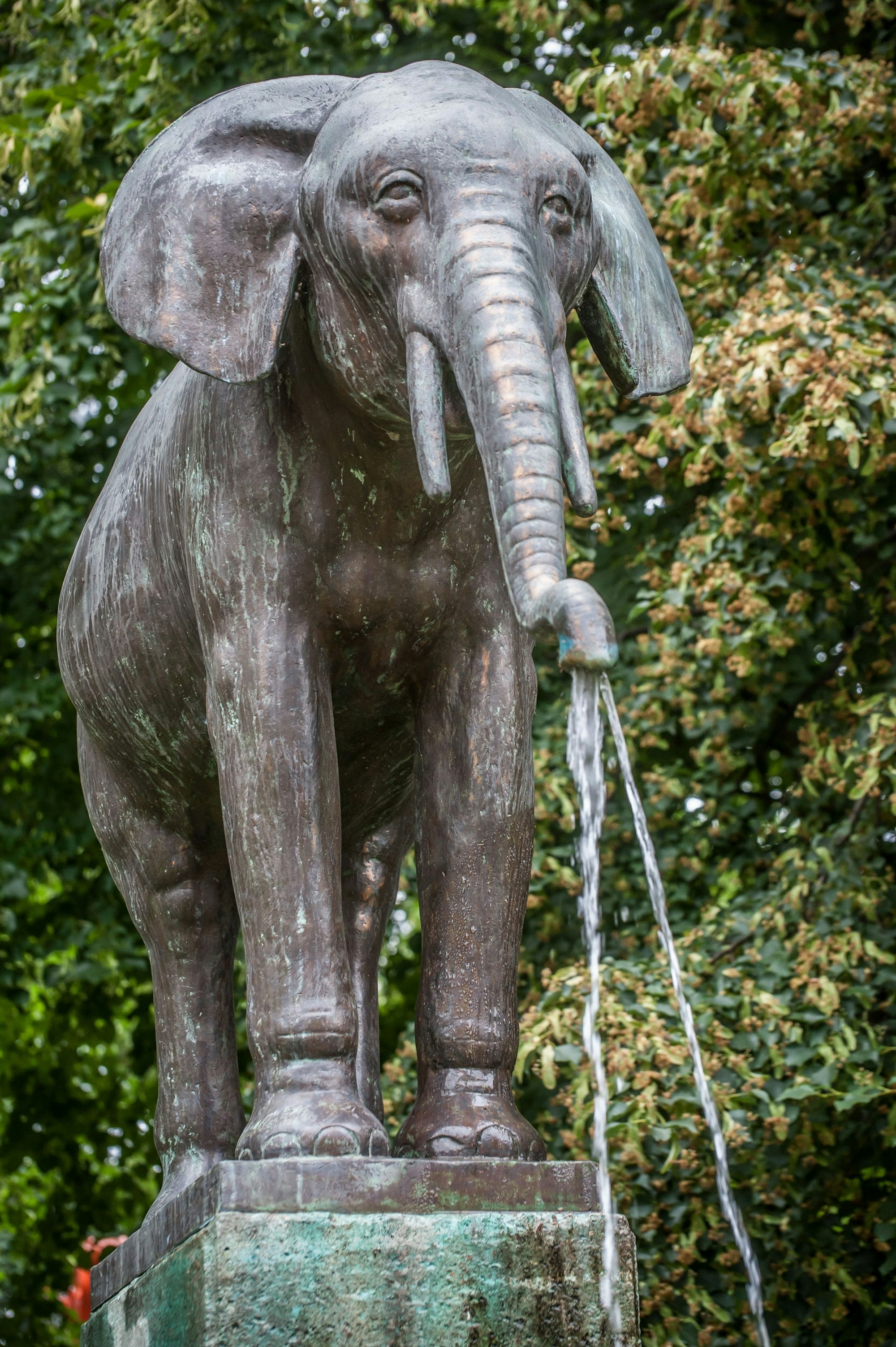 Elefant Kolonie III Foto: Ralf Krieger