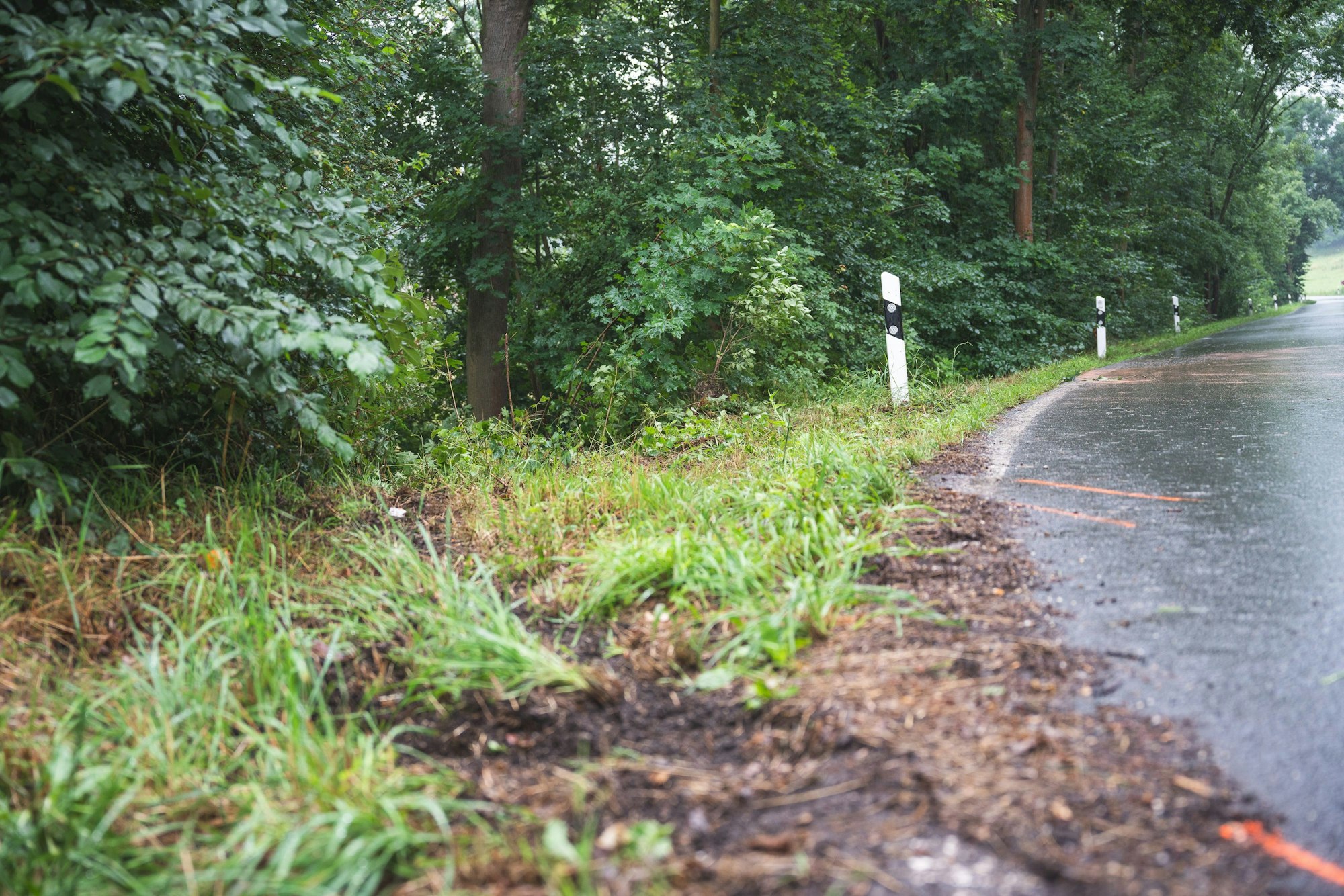 Sachsen-Anhalt, Schönburg: Neben einer regennassen Fahrbahn sind Schleifspuren am Fahrtbahnrand zu erkennen.