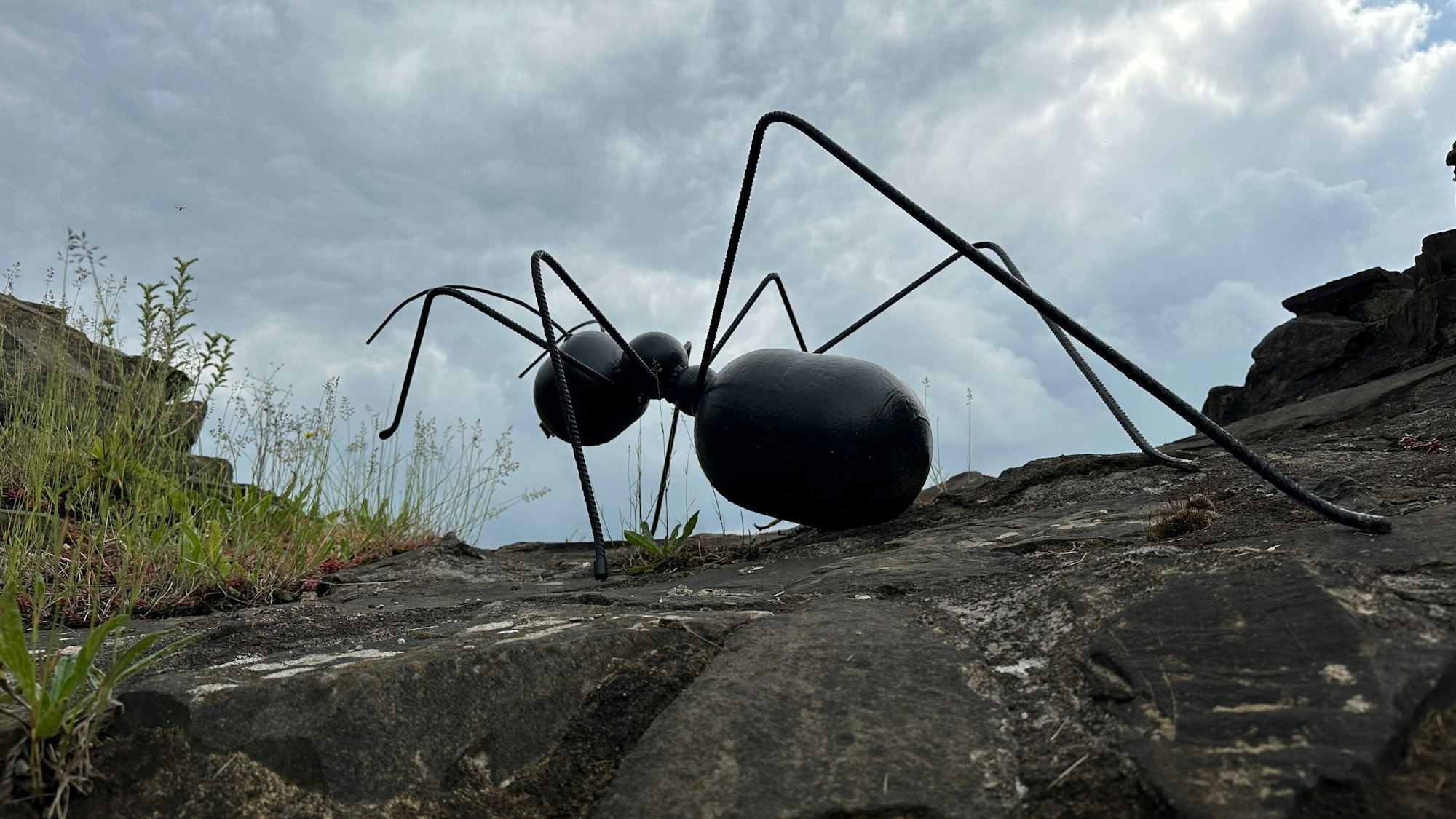 Kunst auf Burg Blankenberg, eine Ameise von Diane Christine Dille.