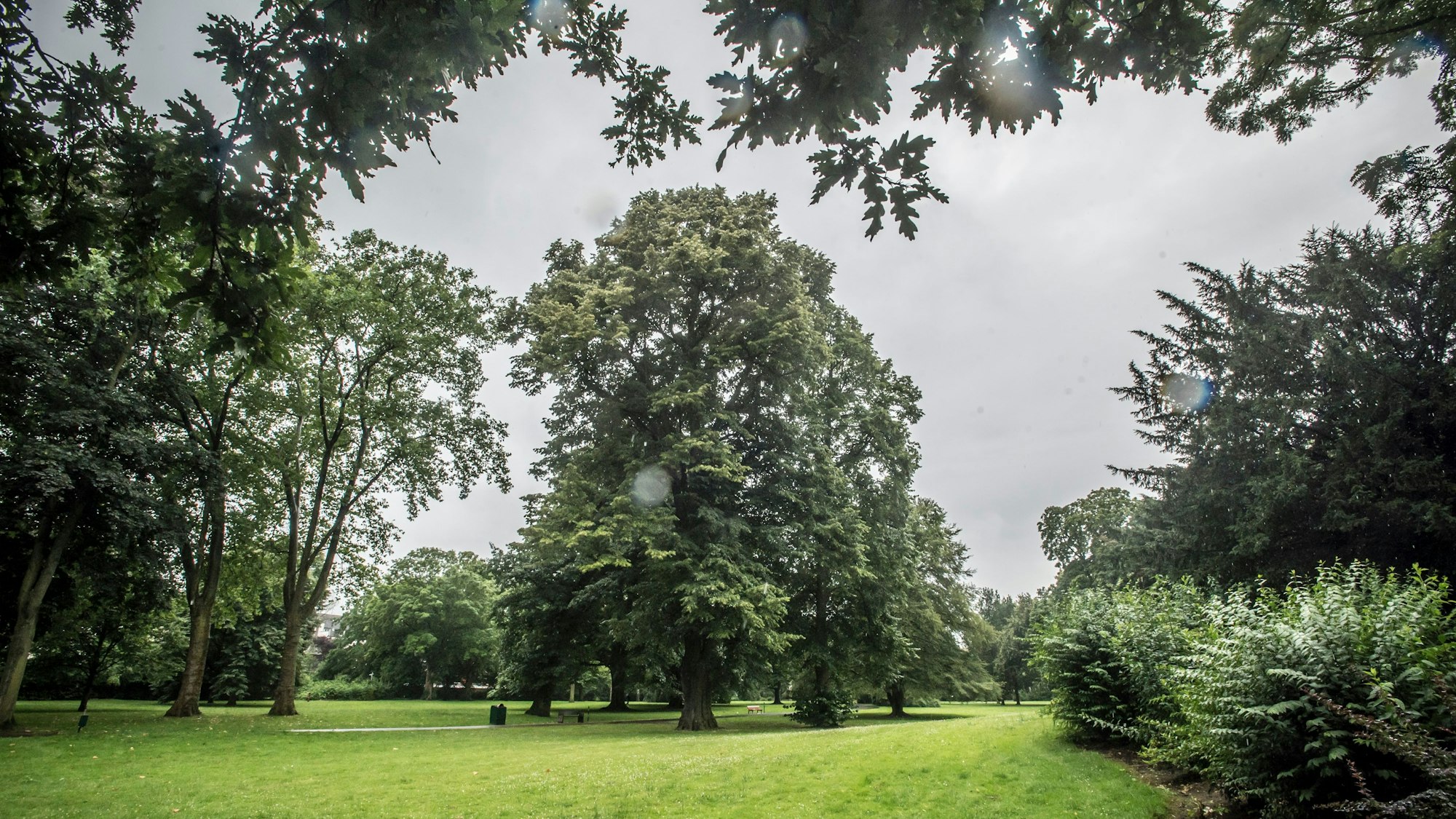 Der denkmalgeschützte Erholungshauspark, den will Bayer an die Stadt Leverkusen verkaufen.